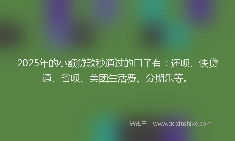 2025年的小额贷款秒通过的口子有：还呗、快贷通、省呗、美团生活费、分期乐等。