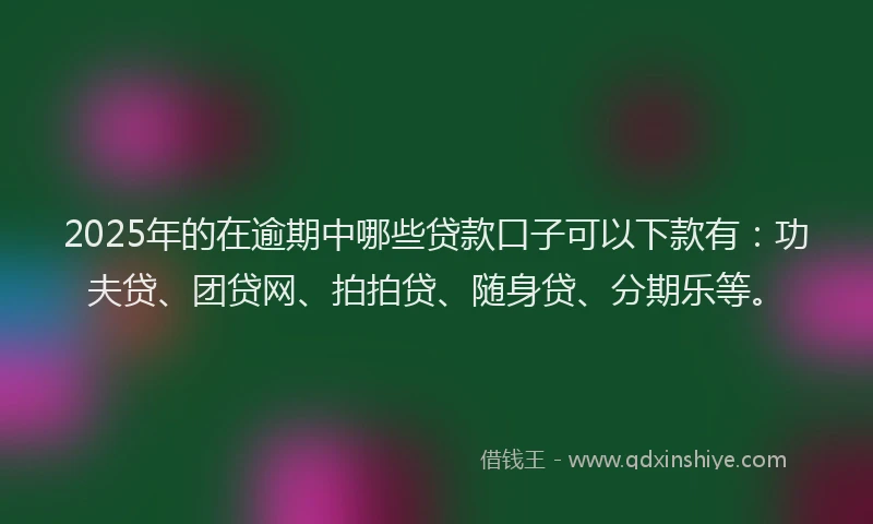 2025年的在逾期中哪些贷款口子可以下款有：功夫贷、团贷网、拍拍贷、随身贷、分期乐等。