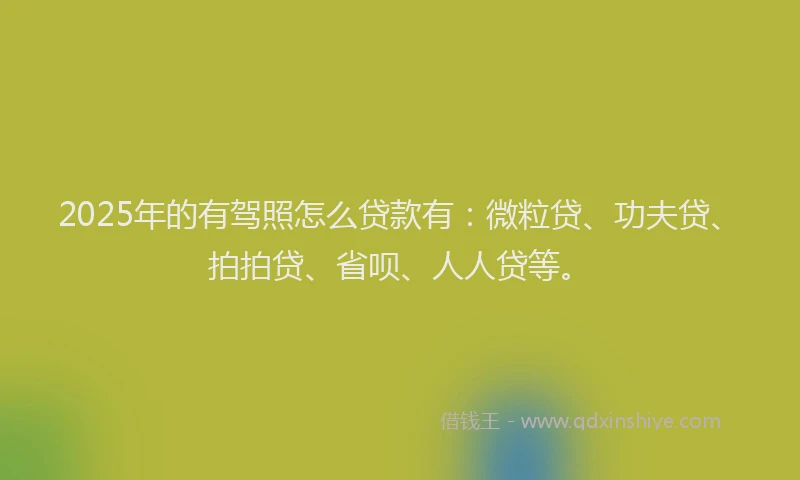 2025年的有驾照怎么贷款有：微粒贷、功夫贷、拍拍贷、省呗、人人贷等。