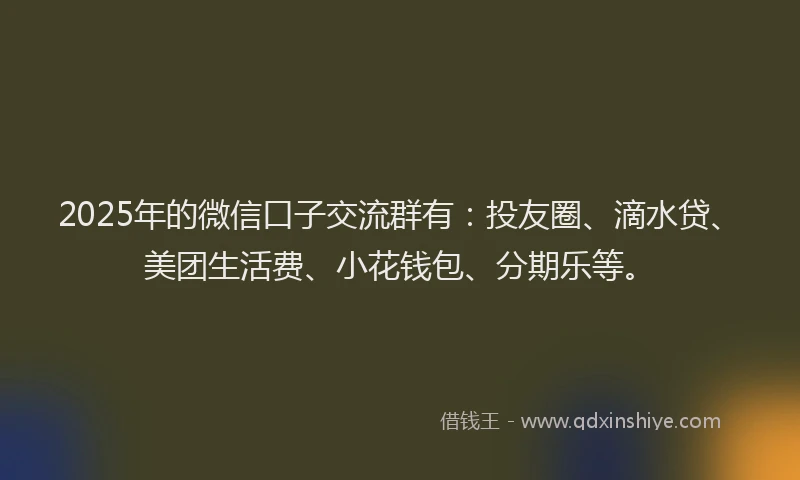 2025年的微信口子交流群有：投友圈、滴水贷、美团生活费、小花钱包、分期乐等。