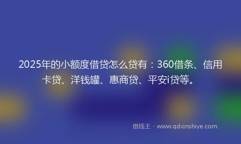 2025年的小额度借贷怎么贷有：360借条、信用卡贷、洋钱罐、惠商贷、平安i贷等。