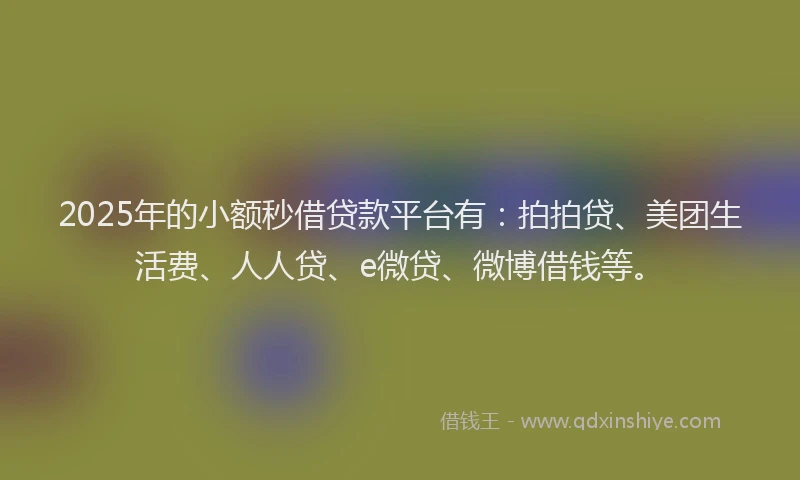2025年的小额秒借贷款平台有：拍拍贷、美团生活费、人人贷、e微贷、微博借钱等。