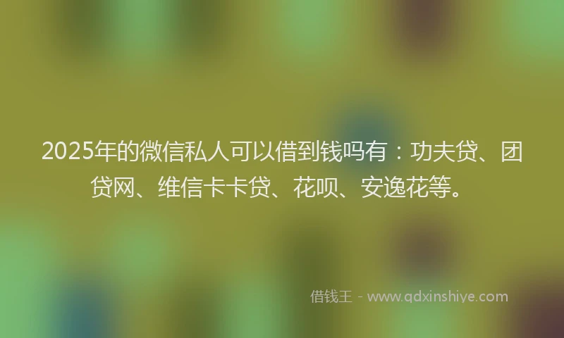 2025年的微信私人可以借到钱吗有：功夫贷、团贷网、维信卡卡贷、花呗、安逸花等。