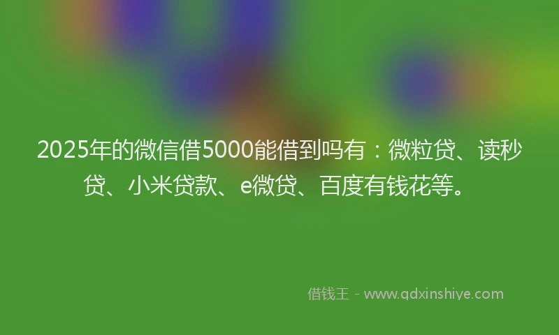 2025年的微信借5000能借到吗有：微粒贷、读秒贷、小米贷款、e微贷、百度有钱花等。