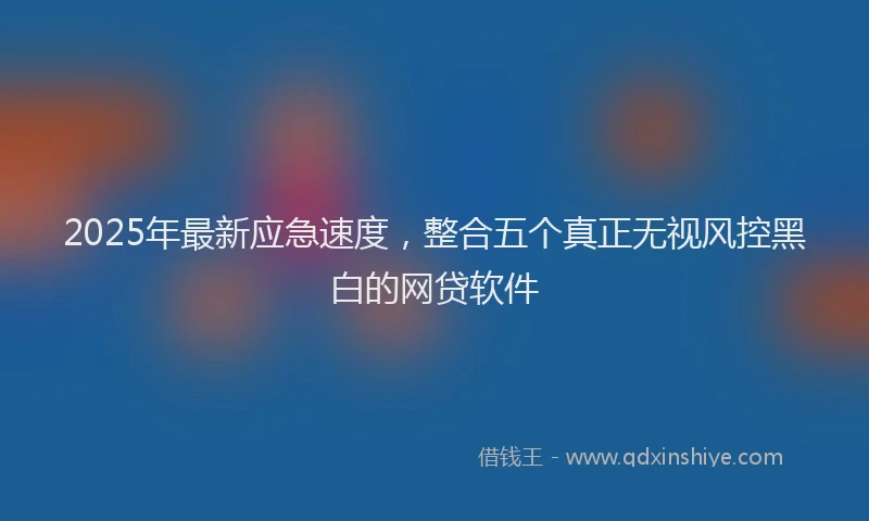 2025年最新应急速度，整合五个真正无视风控黑白的网贷软件