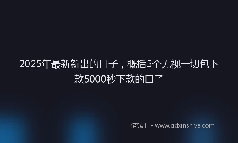 2025年最新新出的口子，概括5个无视一切包下款5000秒下款的口子