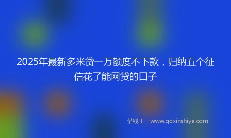 2025年最新多米贷一万额度不下款，归纳五个征信花了能网贷的口子