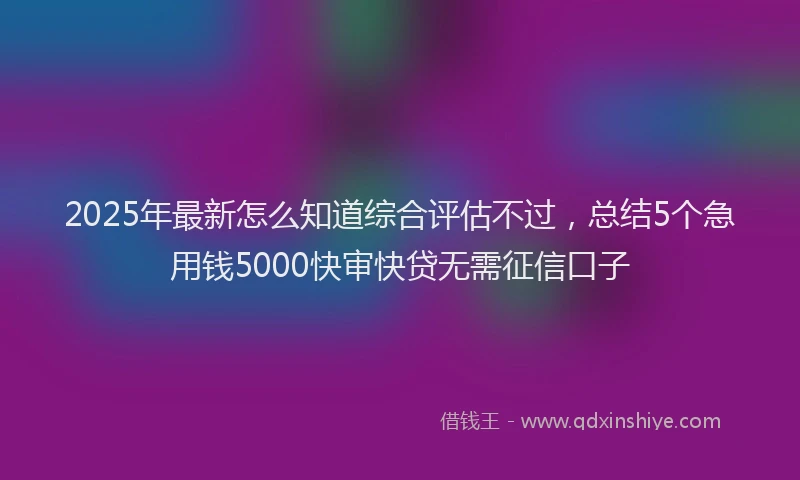 2025年最新怎么知道综合评估不过，总结5个急用钱5000快审快贷无需征信口子