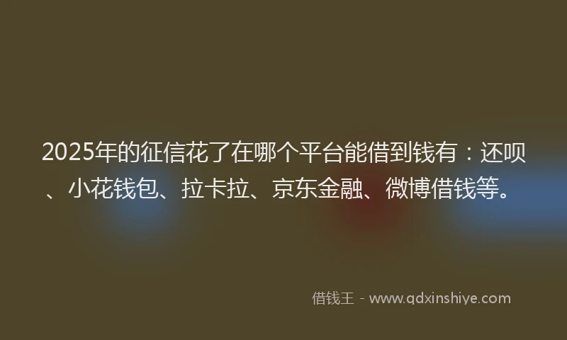 2025年的征信花了在哪个平台能借到钱有：还呗、小花钱包、拉卡拉、京东金融、微博借钱等。