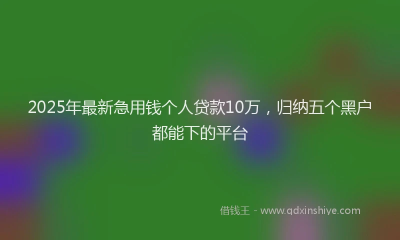 2025年最新急用钱个人贷款10万，归纳五个黑户都能下的平台