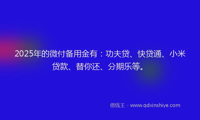 2025年的微付备用金有：功夫贷、快贷通、小米贷款、替你还、分期乐等。