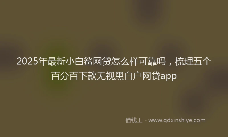 2025年最新小白鲨网贷怎么样可靠吗，梳理五个百分百下款无视黑白户网贷app