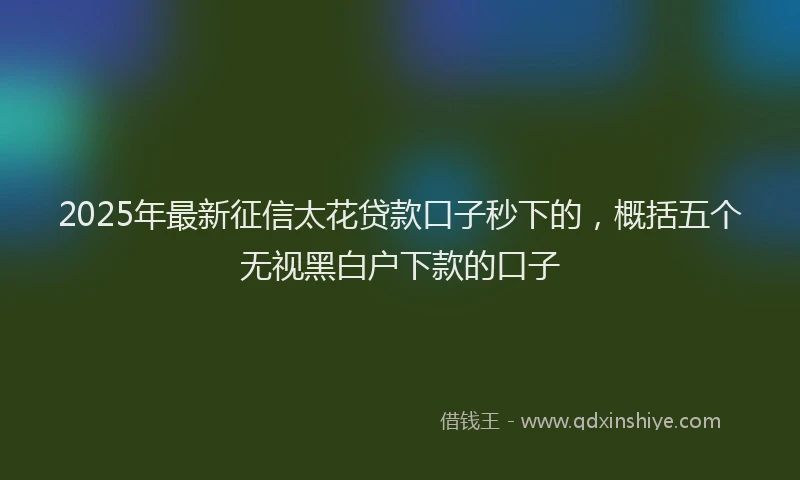 2025年最新征信太花贷款口子秒下的，概括五个无视黑白户下款的口子