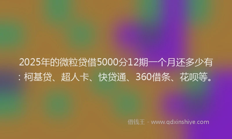 2025年的微粒贷借5000分12期一个月还多少有：柯基贷、超人卡、快贷通、360借条、花呗等。