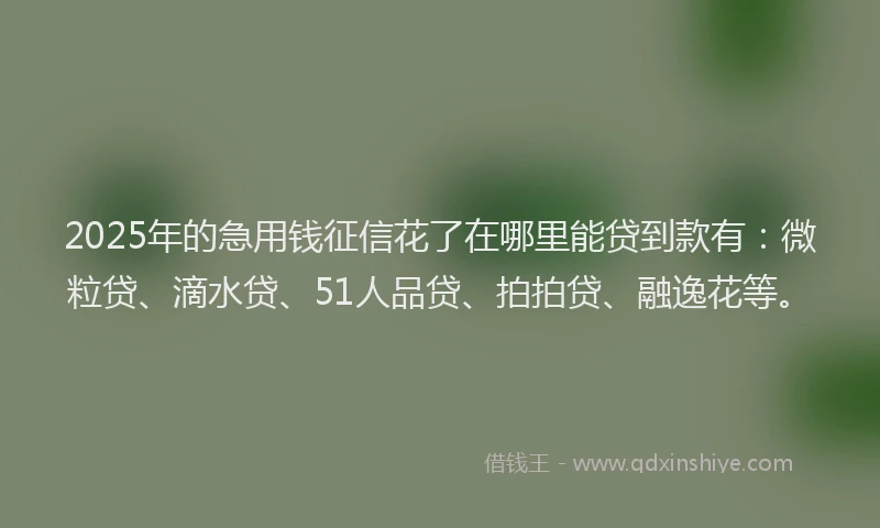 2025年的急用钱征信花了在哪里能贷到款有：微粒贷、滴水贷、51人品贷、拍拍贷、融逸花等。
