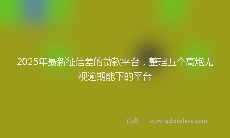 2025年最新征信差的贷款平台，整理五个高炮无视逾期能下的平台