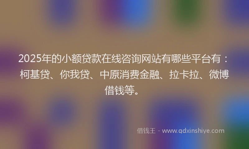2025年的小额贷款在线咨询网站有哪些平台有：柯基贷、你我贷、中原消费金融、拉卡拉、微博借钱等。