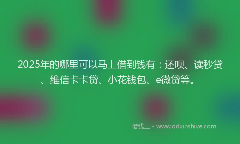 2025年的哪里可以马上借到钱有：还呗、读秒贷、维信卡卡贷、小花钱包、e微贷等。