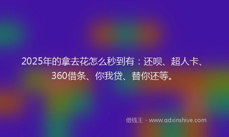 2025年的拿去花怎么秒到有：还呗、超人卡、360借条、你我贷、替你还等。