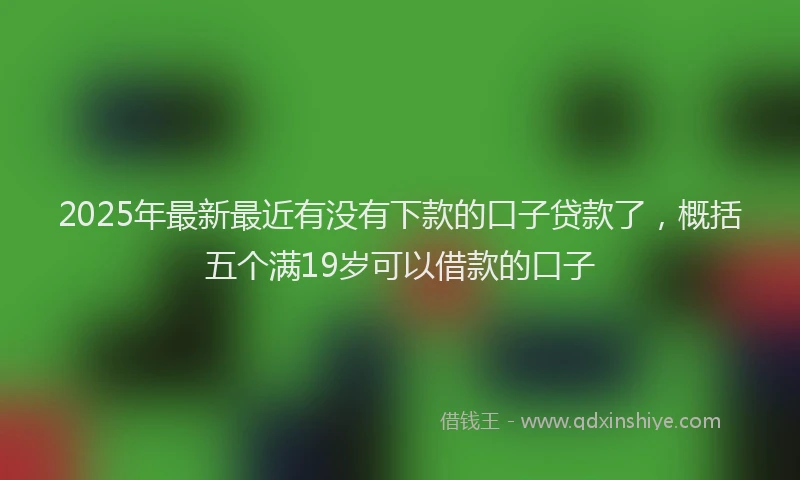 2025年最新最近有没有下款的口子贷款了，概括五个满19岁可以借款的口子