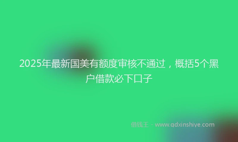 2025年最新国美有额度审核不通过，概括5个黑户借款必下口子