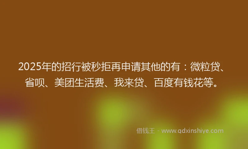 2025年的招行被秒拒再申请其他的有：微粒贷、省呗、美团生活费、我来贷、百度有钱花等。