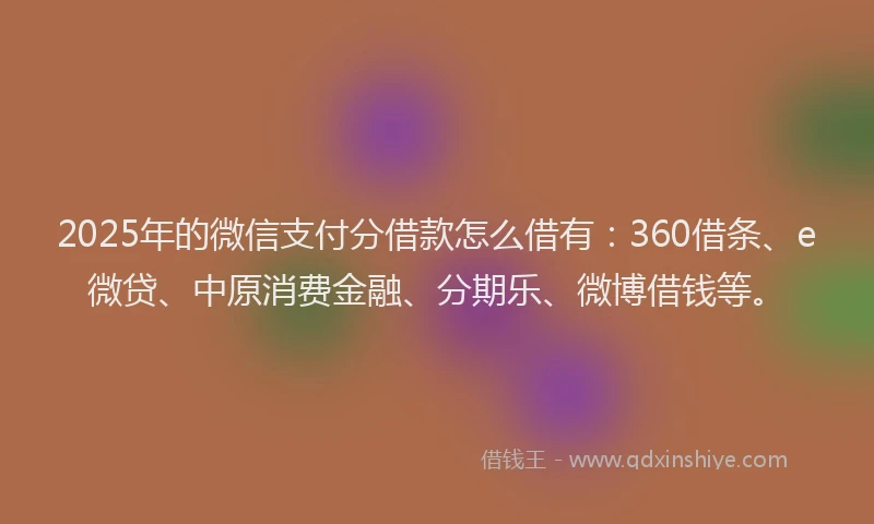 2025年的微信支付分借款怎么借有：360借条、e微贷、中原消费金融、分期乐、微博借钱等。