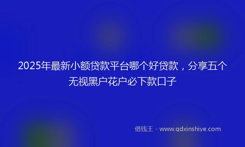 2025年最新小额贷款平台哪个好贷款，分享五个无视黑户花户必下款口子