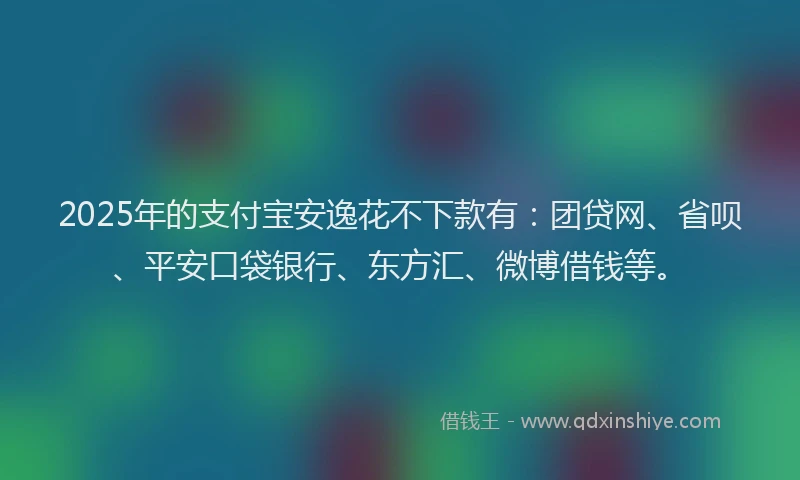 2025年的支付宝安逸花不下款有：团贷网、省呗、平安口袋银行、东方汇、微博借钱等。