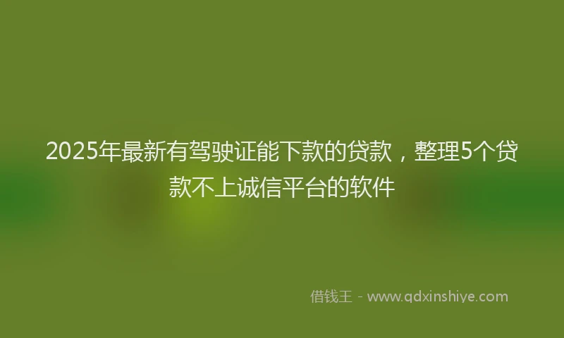 2025年最新有驾驶证能下款的贷款，整理5个贷款不上诚信平台的软件