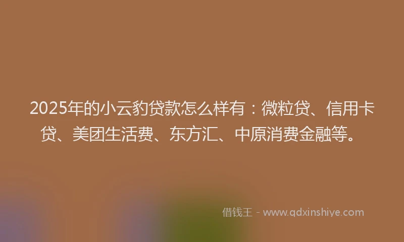 2025年的小云豹贷款怎么样有：微粒贷、信用卡贷、美团生活费、东方汇、中原消费金融等。
