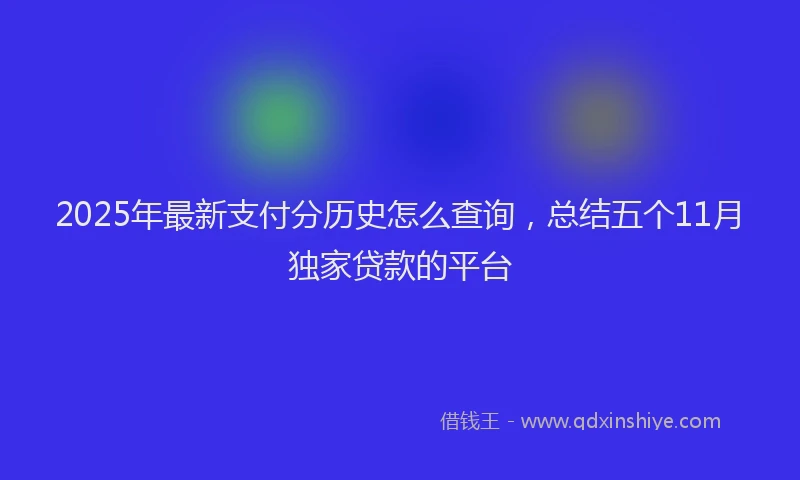 2025年最新支付分历史怎么查询，总结五个11月独家贷款的平台