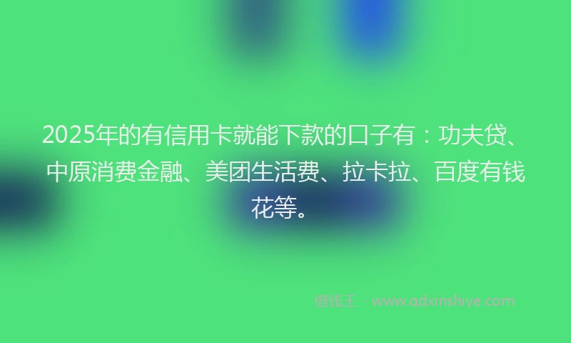 2025年的有信用卡就能下款的口子有：功夫贷、中原消费金融、美团生活费、拉卡拉、百度有钱花等。