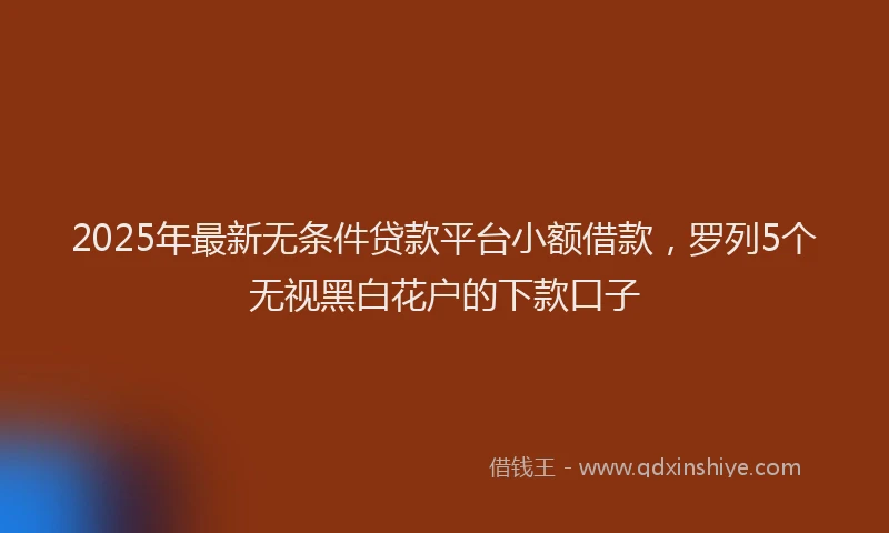 2025年最新无条件贷款平台小额借款，罗列5个无视黑白花户的下款口子