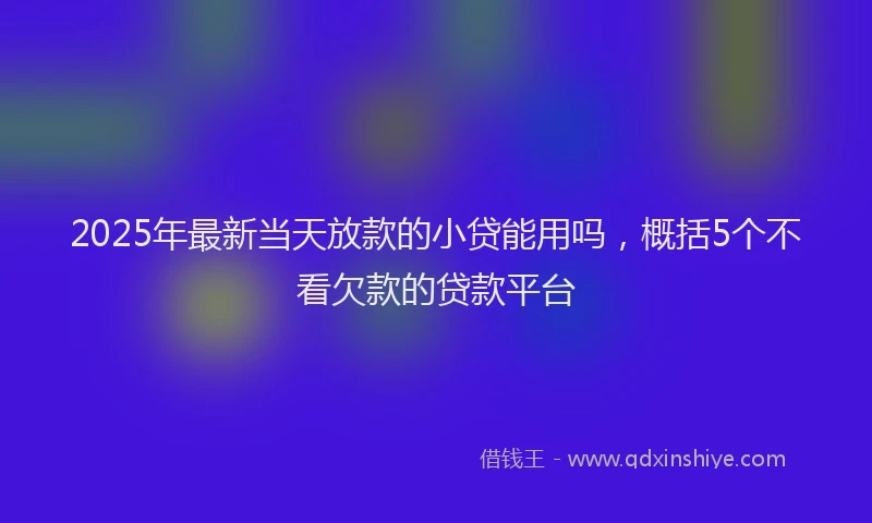2025年最新当天放款的小贷能用吗，概括5个不看欠款的贷款平台