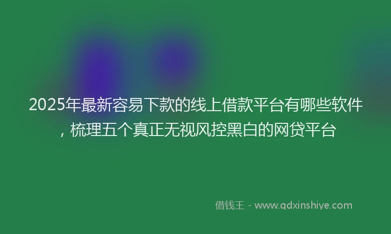 2025年最新容易下款的线上借款平台有哪些软件，梳理五个真正无视风控黑白的网贷平台