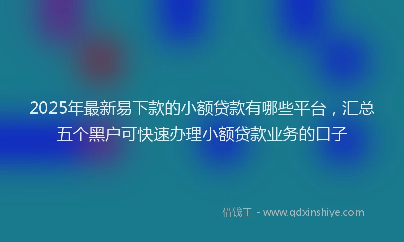2025年最新易下款的小额贷款有哪些平台，汇总五个黑户可快速办理小额贷款业务的口子