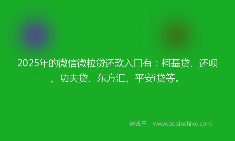 2025年的微信微粒贷还款入口有：柯基贷、还呗、功夫贷、东方汇、平安i贷等。