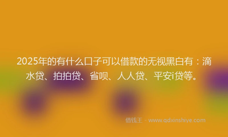 2025年的有什么口子可以借款的无视黑白有：滴水贷、拍拍贷、省呗、人人贷、平安i贷等。