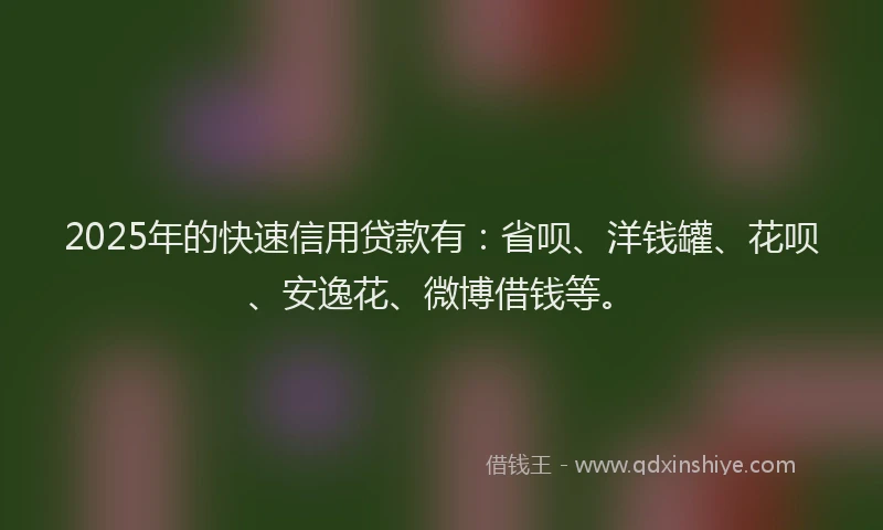 2025年的快速信用贷款有：省呗、洋钱罐、花呗、安逸花、微博借钱等。
