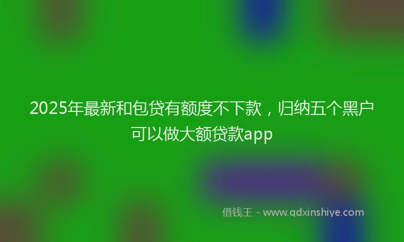 2025年最新和包贷有额度不下款，归纳五个黑户可以做大额贷款app