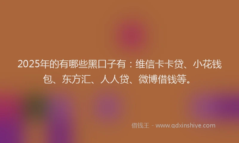 2025年的有哪些黑口子有：维信卡卡贷、小花钱包、东方汇、人人贷、微博借钱等。