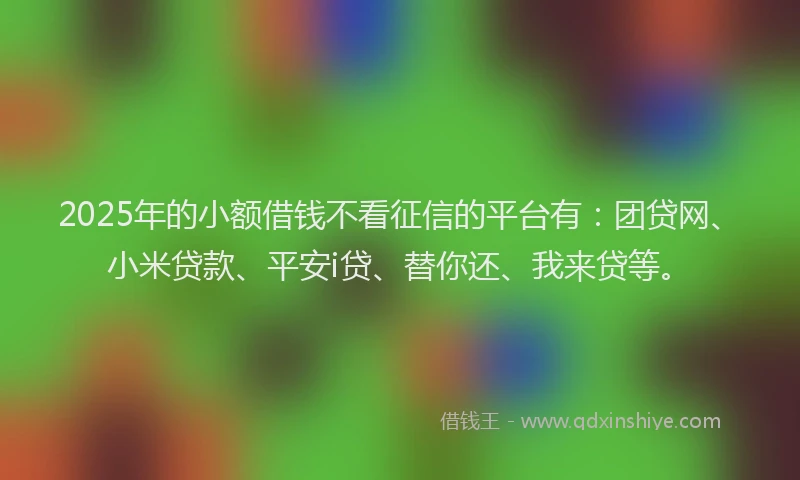 2025年的小额借钱不看征信的平台有：团贷网、小米贷款、平安i贷、替你还、我来贷等。