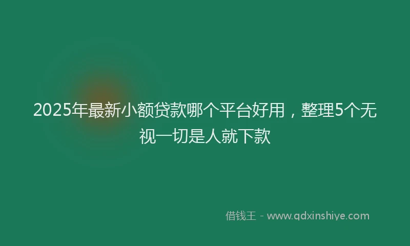 2025年最新小额贷款哪个平台好用，整理5个无视一切是人就下款