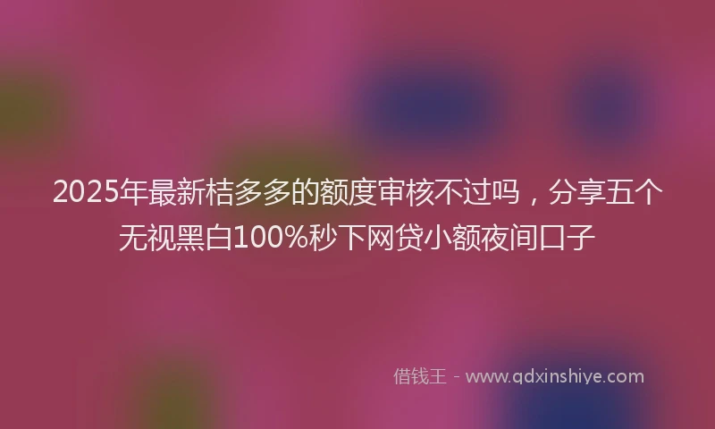 2025年最新桔多多的额度审核不过吗，分享五个无视黑白100%秒下网贷小额夜间口子