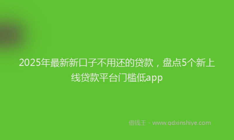 2025年最新新口子不用还的贷款，盘点5个新上线贷款平台门槛低app