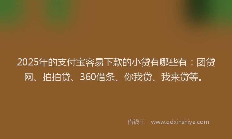 2025年的支付宝容易下款的小贷有哪些有：团贷网、拍拍贷、360借条、你我贷、我来贷等。