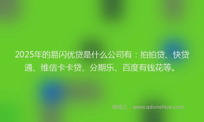 2025年的易闪优贷是什么公司有：拍拍贷、快贷通、维信卡卡贷、分期乐、百度有钱花等。