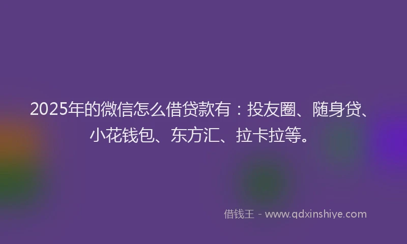 2025年的微信怎么借贷款有：投友圈、随身贷、小花钱包、东方汇、拉卡拉等。
