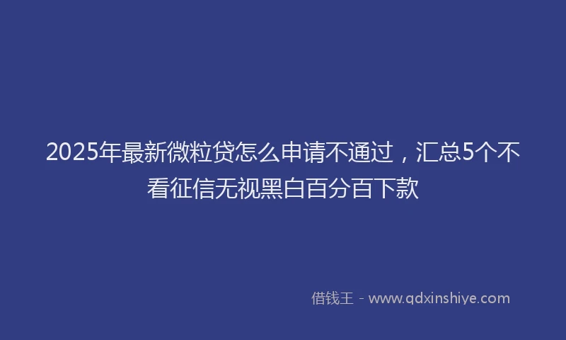 2025年最新微粒贷怎么申请不通过，汇总5个不看征信无视黑白百分百下款